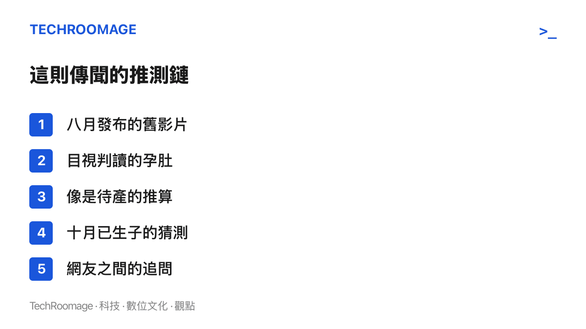 清單依序列出從八月舊影片到網友追問的五個環節，全部由旁觀者的判讀與猜測組成，沒有任何一項來自當事人
