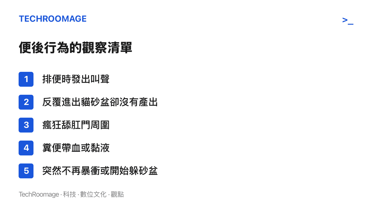 清單列出飼主應留意的貓便後異常行為，包括排便時叫出聲、反覆進出砂盆、過度舔肛門周圍、糞便帶血或黏液，以及暴衝行為突然消失或躲避砂盆