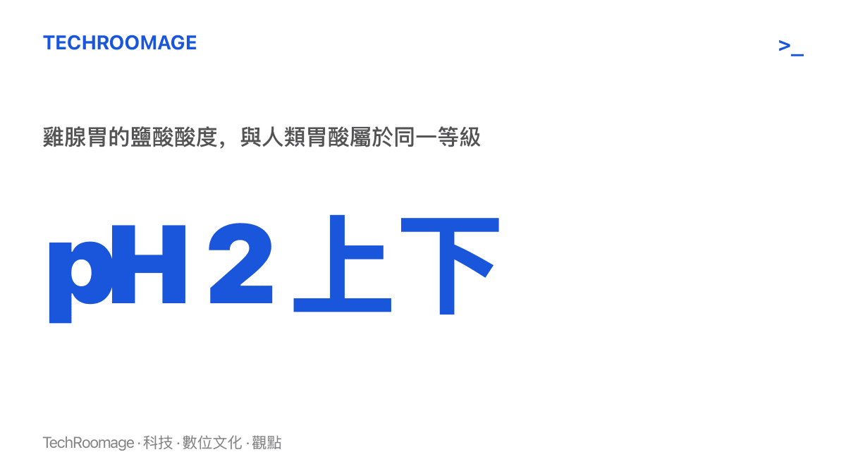 數據圖卡標示雞腺胃的鹽酸酸度約在pH 2上下，與人類胃酸同等級，是水蛭無法存活的關鍵關卡