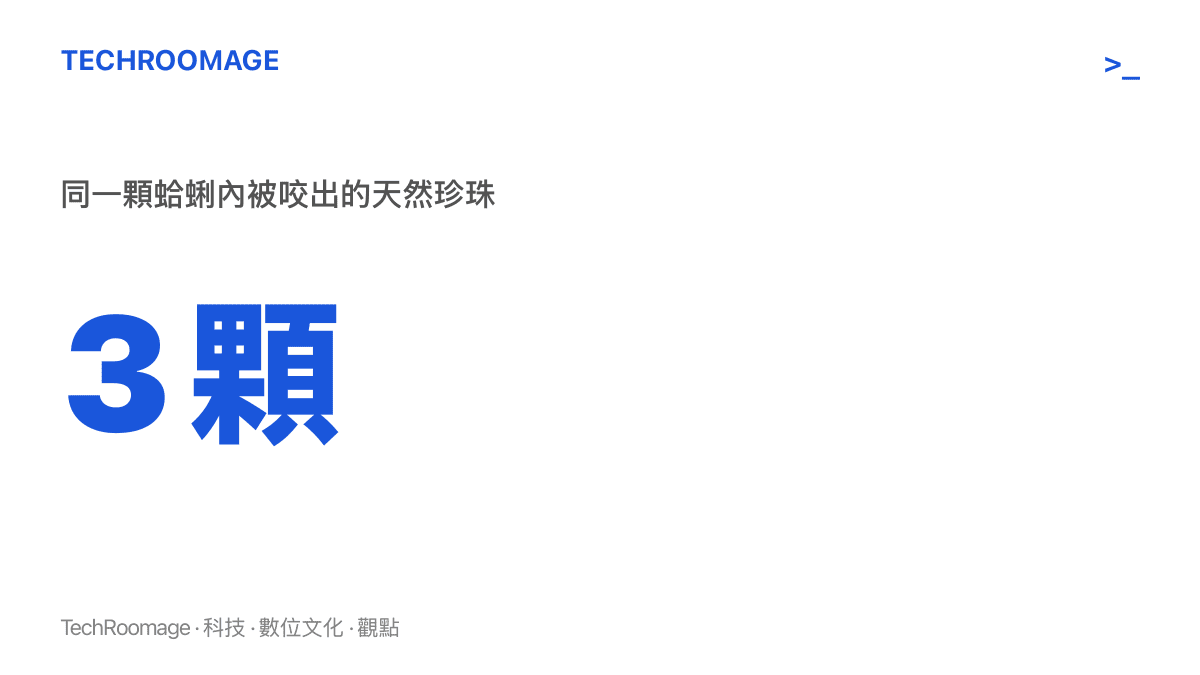 青島這起事件中，同一顆蛤蜊內被咬出的天然珍珠共有 3 顆，大小約與高粱米相當