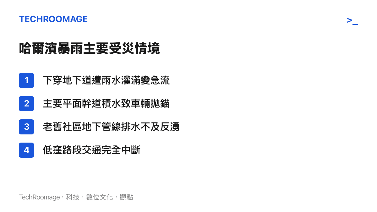 清單列舉哈爾濱暴雨期間常見的四種城市積水受災情境，包含地下道淹水與車輛拋錨等狀況