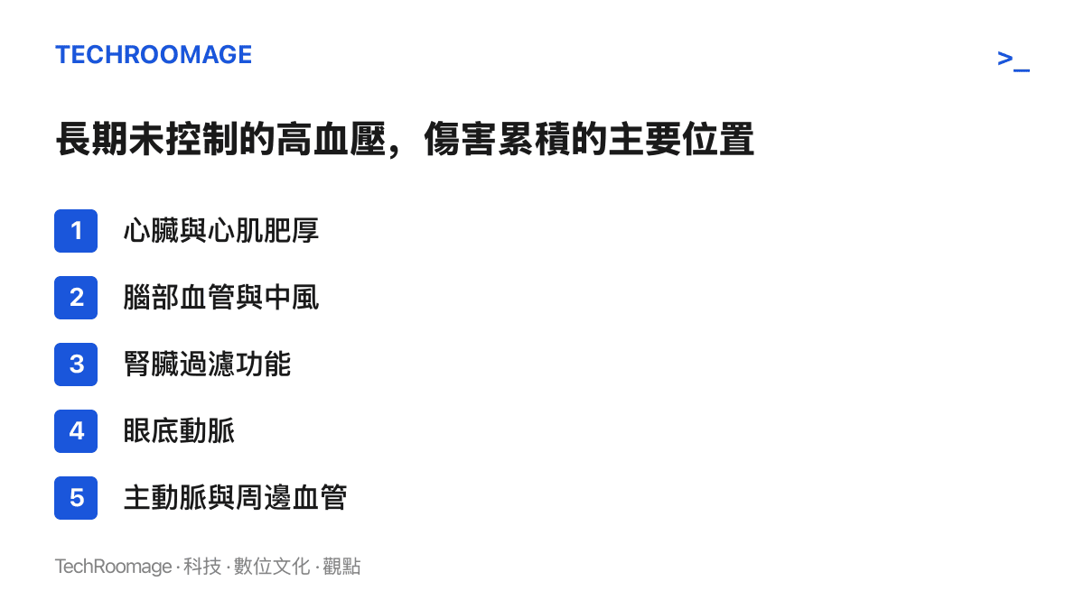 長期血壓未控制時傷害累積的五個部位：心臟、腦部血管、腎臟、眼底動脈與主動脈周邊血管