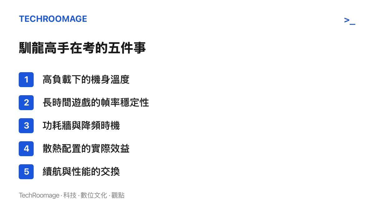 清單列出馴龍高手稱號實際檢驗的五個項目：機身溫度、長時間幀率穩定性、降頻時機、散散效益與續航交換