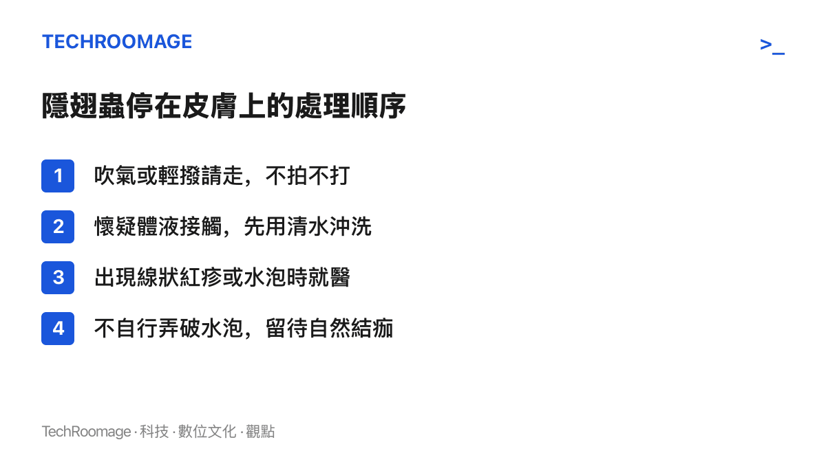 清單圖卡列出隱翅蟲停在皮膚上時的四個處理步驟：吹走、清水沖洗、出現紅疹水泡就醫、不弄破水泡