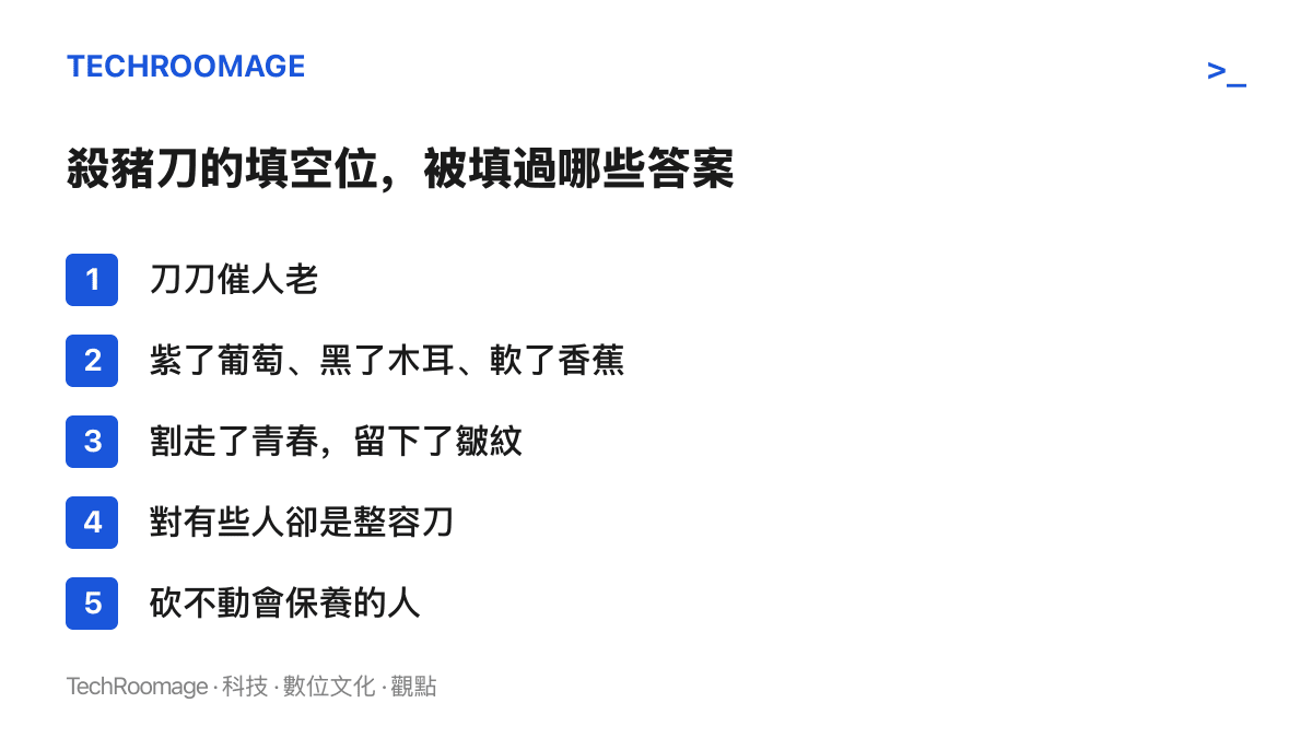 清單圖列出「歲月是把殺豬刀」這句流行語在各個時期被網友接續填上的不同後半句，包括刀刀催人老、紫了葡萄黑了木耳軟了香蕉、割走青春留下皺紋，以及對有些人卻是整容刀等流傳版本
