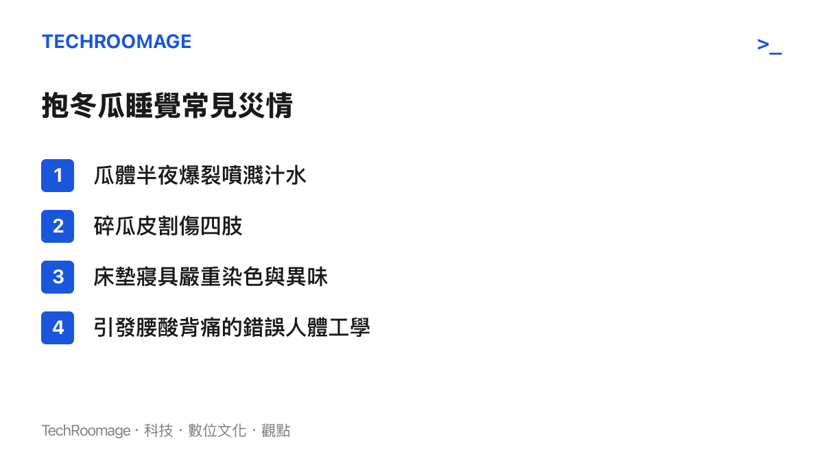 清單圖卡列舉了抱冬瓜睡覺引發的四種主要災情，包含瓜體爆裂、皮膚割傷、牀墊毀損與肌肉痠痛。