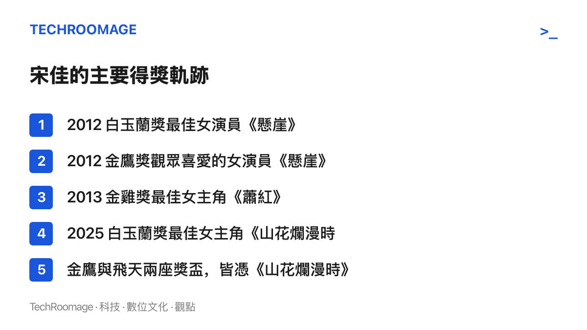清單圖按年份列出宋佳自2012年至本屆飛天獎的主要得獎紀錄，其中《山花爛漫時》一劇包辦最近三座獎盃