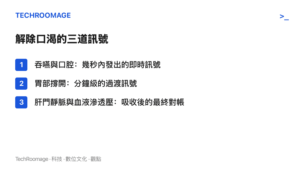 清單列出身體解除口渴的三道訊號：吞嚥時口腔與咽喉幾秒內發出的即時訊號、胃部撐開提供的分鐘級過渡訊號，以及水分吸收後由肝門靜脈與血液滲透壓完成的最終對帳