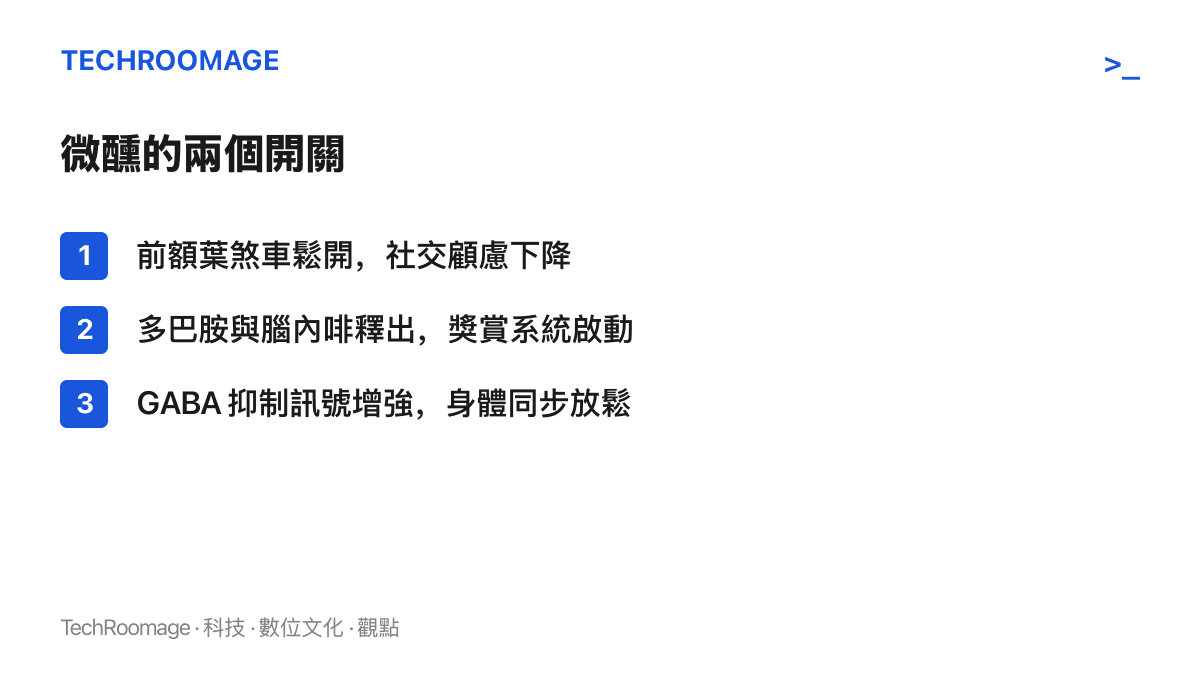 清單列出讓微醺感到愉快的三個生理機制：前額葉煞車鬆開使社交顧慮下降、多巴胺與腦內啡釋出啟動獎賞、GABA 抑制訊號增強讓身體放鬆