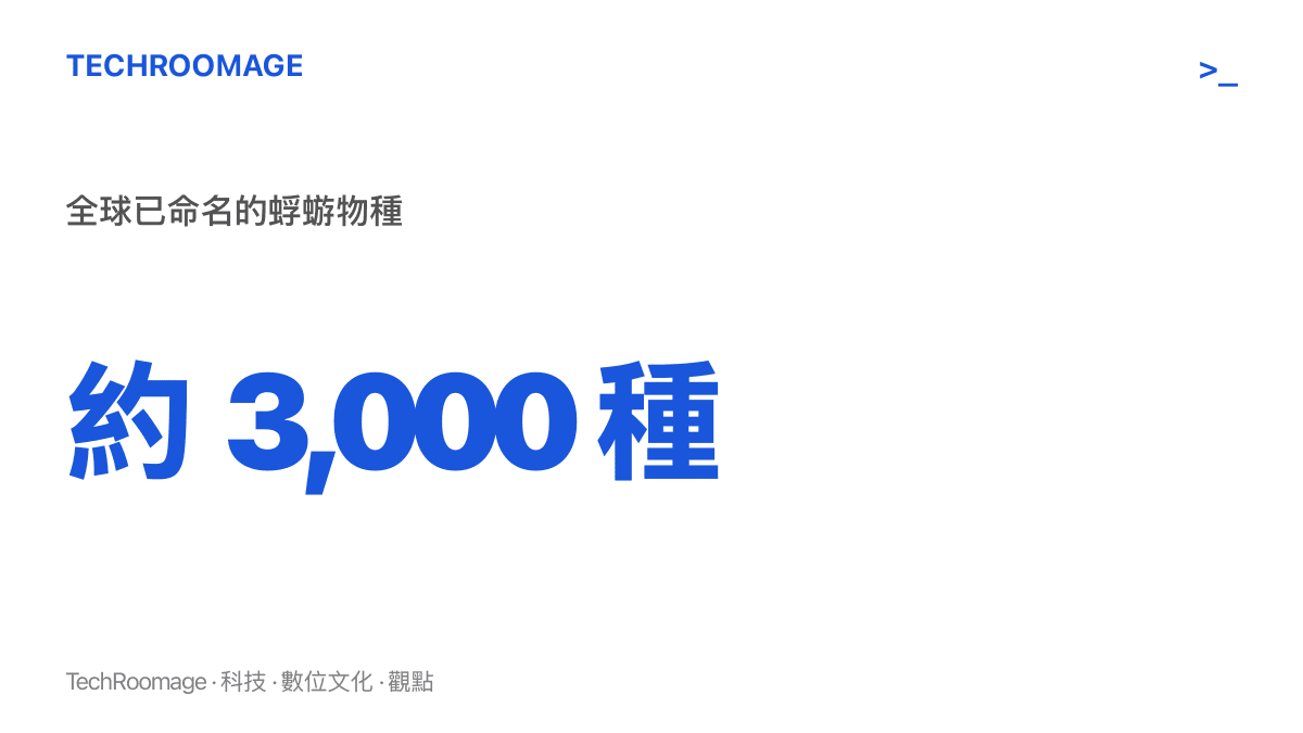 統計圖卡顯示全球已被命名的蜉蝣物種約有三千種，說明蜉蝣是種類繁多的古老昆蟲類羣