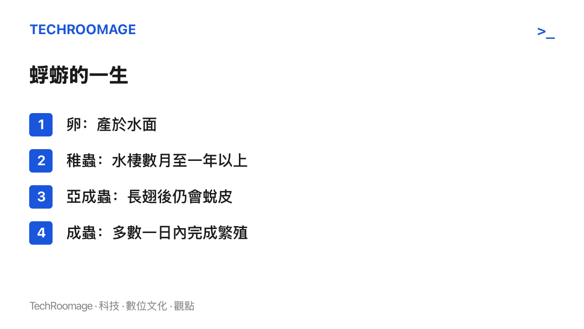 清單圖卡列出蜉蝣生活史的四個階段，從產於水面的卵、水棲數月至一年以上的稚蟲、長翅後仍會蛻皮的亞成蟲，到壽命多半不到一天的成蟲