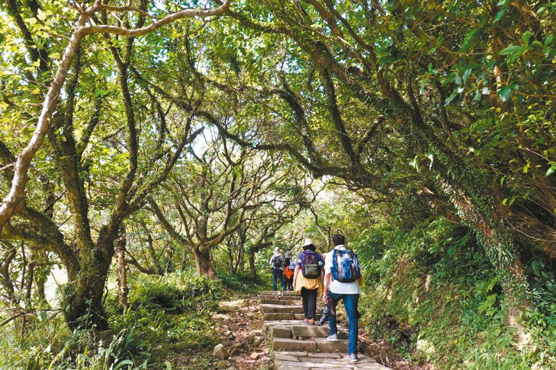 草嶺古道被民眾推薦為全台前十大退休力步道，主要推薦原因是景致怡人、豐富多樣化的自然生態。本報資料照片